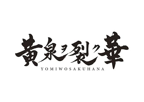 Diany Tushu Yang GE SS413 High-Quality Product for Your Needs 2 Diany Tushu Yang GE SS413 High-Quality Product for Your Needs - Image 2
