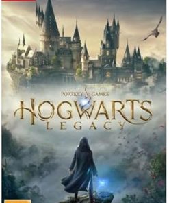 Hogwarts Legacy Nintendo Switch UK PAL Import Compatibility Guide Hogwarts Legacy Nintendo Switch UK PAL Import Compatibility Guide