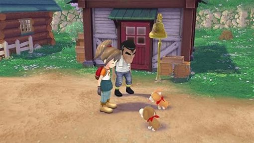 Story of Seasons A Wonderful Life Gameplay and Features Overview - Image 2