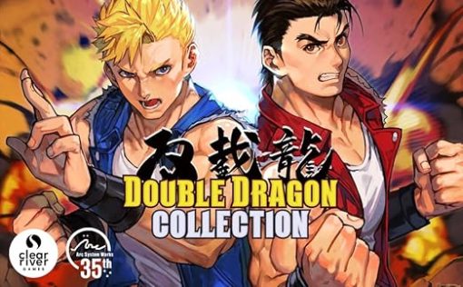 Double Dragon Collection for Nintendo Switch USA Version - Image 2