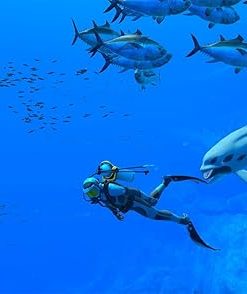 Luminous Endless Ocean Adventure for Nature Lovers 2 Luminous Endless Ocean Adventure for Nature Lovers 2