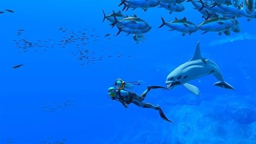 Luminous Endless Ocean Adventure for Nature Lovers - Image 2