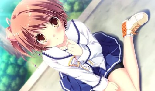 DCIII Plus Story for Nintendo Switch - Play the Enhanced Adventure - Image 2