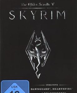 Elder Scrolls V Skyrim for Nintendo Switch Standard Edition Game Elder Scrolls V Skyrim for Nintendo Switch Standard Edition Game