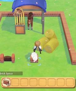 Story of Seasons Pioneers of Olive Town Premium Edition Nintendo Switch 2 Story of Seasons Pioneers of Olive Town Premium Edition Nintendo Switch 2