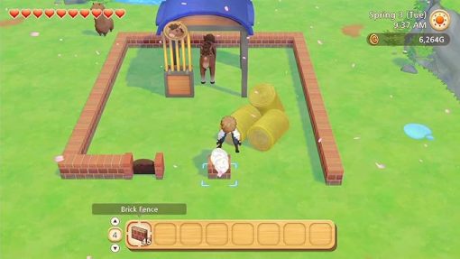 Story of Seasons Pioneers of Olive Town Premium Edition Nintendo Switch - Image 2