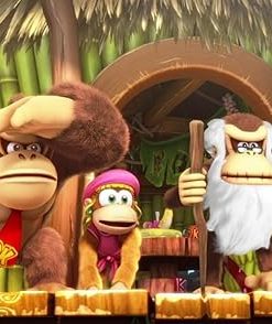 Donkey Kong Country Tropical Freeze for Nintendo Switch Game Review 2 Donkey Kong Country Tropical Freeze for Nintendo Switch Game Review 2