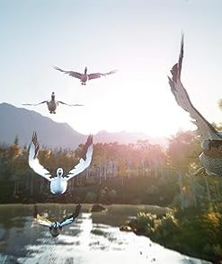 Hunting Simulator 2 for Nintendo Switch Gameplay Review and Tips 2 Hunting Simulator 2 for Nintendo Switch Gameplay Review and Tips 2