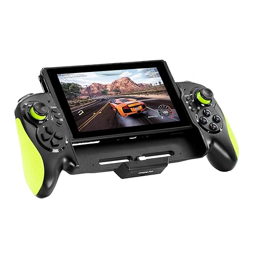 Hawksbill Handheld Controller for Nintendo Switch with Turbo Function Hawksbill Handheld Controller for Nintendo Switch with Turbo Function