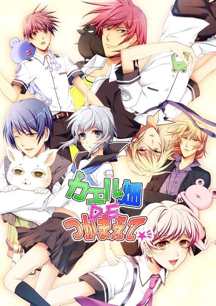 カエルを捕まえる方法を楽しむSwitchゲームガイド カエルを捕まえる方法を楽しむSwitchゲームガイド