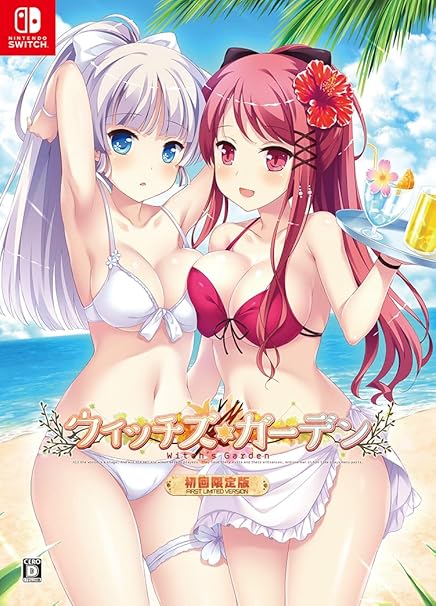 ウィッチズガーデン初回限定版 Switch特典B2タペストリー同梱 ウィッチズガーデン初回限定版 Switch特典B2タペストリー同梱