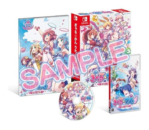 Gyaru Gun Returns Limited Edition 10th Anniversary Set Switch