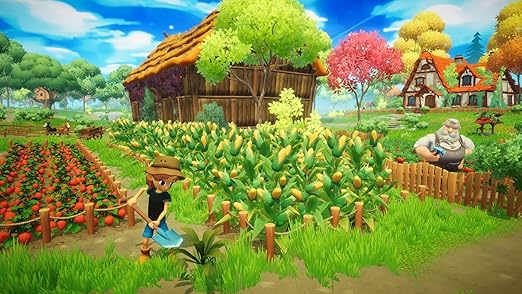 Everdream Valley Game Compatibility for NSW and UK PAL Systems 2 Everdream Valley Game Compatibility for NSW and UK PAL Systems - Image 2