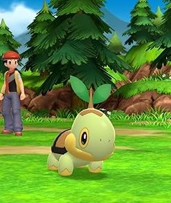 Pokemon Brilliant Diamond Nintendo Switch Game Guide and Tips 2 Pokemon Brilliant Diamond Nintendo Switch Game Guide and Tips 2